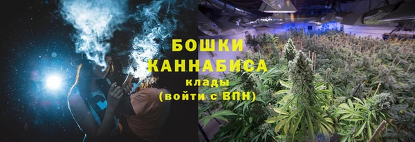 мдпв Долгопрудный