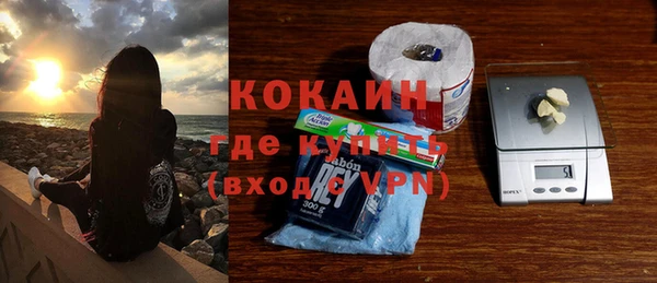 мдпв Долгопрудный