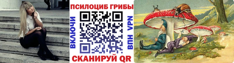 Купить где Богданович Галлюциногенные грибы ЛСД